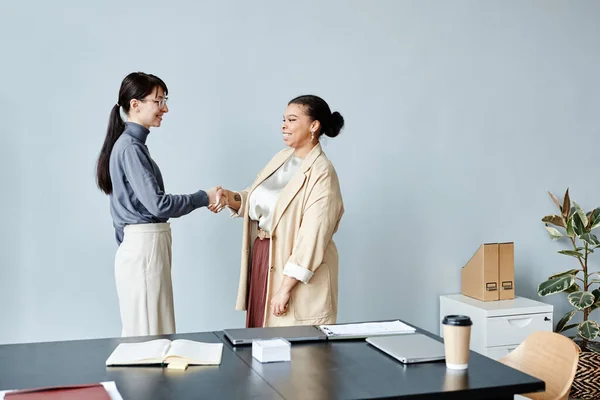 Minimal Side View Portrait Two Young Business Women Shaking Hands — Stock Photo, Image