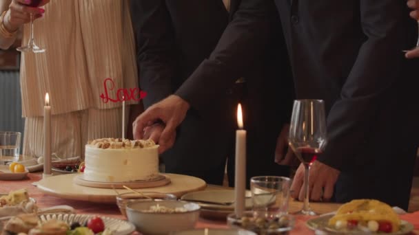 在与朋友的晚宴上 穿着雅致燕尾服的快乐的新婚夫妇一起切漂亮的结婚蛋糕 — 图库视频影像