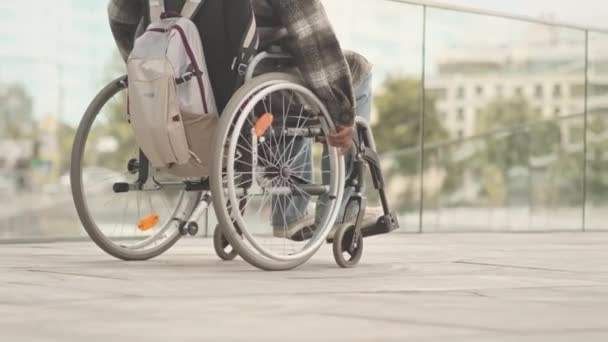 Büyük Boy Kareli Tişörtlü Kaldırım Boyunca Tekerlekli Sandalyeye Mahkum Tanınmayacak — Stok video