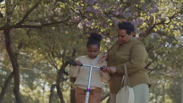 中程度の遅いのプラスサイズアフリカ系アメリカ人女性教え彼女の8歳の娘へライド自転車で公園で晴れた日に — ストック動画