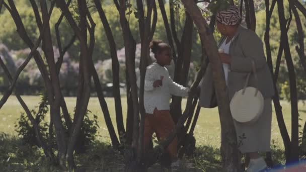 アフリカ系アメリカ人の母親と小さな娘の完全な長さの遅い夏の日に公園の木の間でキャッチーなゲームをプレイ — ストック動画