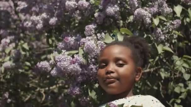 Przechyl Dół Portret Ładnej Letniej Afroamerykanki Patrząc Aparat Stojący Przed — Wideo stockowe