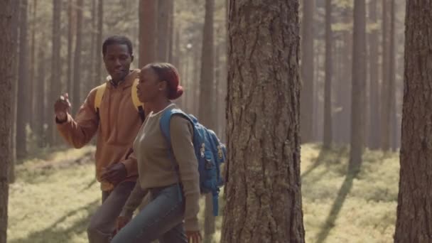 Plan Suivi Deux Jeunes Couples Multiethniques Marchant Dans Forêt Par — Video