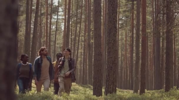 Sällskap Unga Multietniska Vänner Med Ryggsäckar Talar Medan Promenader Längs — Stockvideo