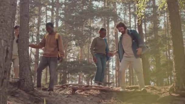 Vier Junge Multiethnische Freunde Wandern Einem Sonnigen Tag Wald Jungs — Stockvideo