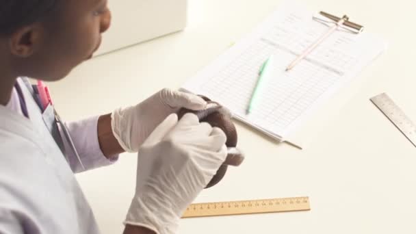 Shot African American Female Veterinarian Measuring Domestic Snake Ruler White — Stock Video