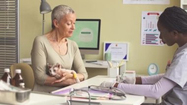 Orta boy beyaz kadın ve elf kedisi veteriner kliniğini ziyaret ediyor. Genç Afrikalı Amerikalı kadın veteriner yaralı kedileri muayene ediyor.