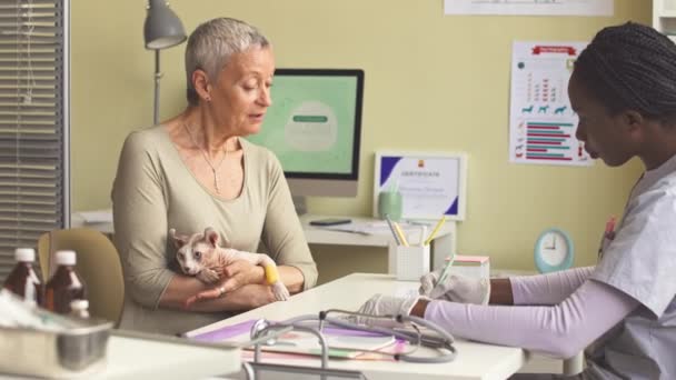 Средний Снимок Взрослой Белой Женщины Кошкой Эльфом Посещающей Ветеринарную Клинику — стоковое видео