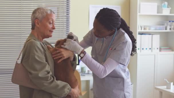 在现代诊所 成熟的白人妇女向女兽医展示她棕色长发的腊肠 — 图库视频影像