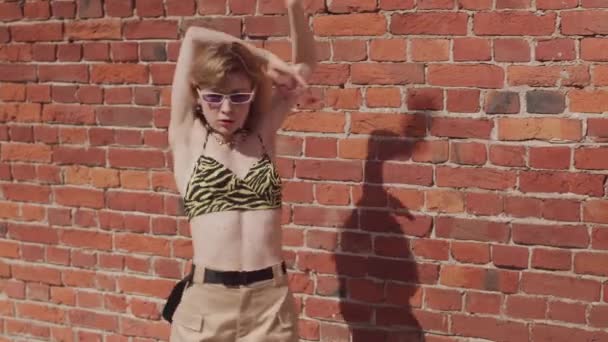動物のスタイリッシュな女の子のミディアムショットは 日光の屋外の赤レンガの壁に対してカメラでブレンドとヴィンテージメガネ対話 — ストック動画