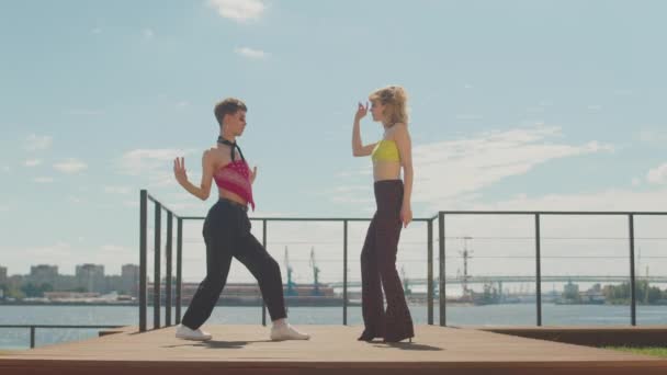 夏の澄んだ青空の下で木製の桟橋で踊る80年代スタイルのカップルのフルショット — ストック動画