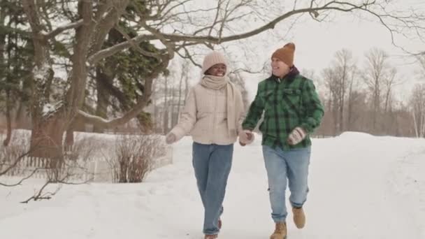 Aanhankelijk Divers Lesbisch Paar Lopen Langs Spoor Prachtige Winter Bos — Stockvideo