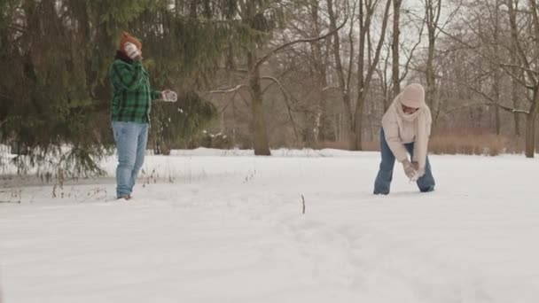 幸せな若い多民族レズビアンカップルは寒い日に美しい冬の森でスノーボールをしながら一緒に楽しんでいます — ストック動画