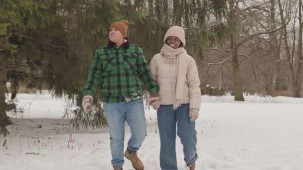 Langzaam Van Diverse Lesbische Paar Wandelen Langs Besneeuwde Winterbos Koude — Stockvideo