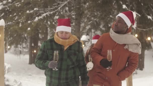 シャンパングラスを保持している2人の若い多民族カップルと軽い電球で装飾された冬の森を歩いている間チャット — ストック動画