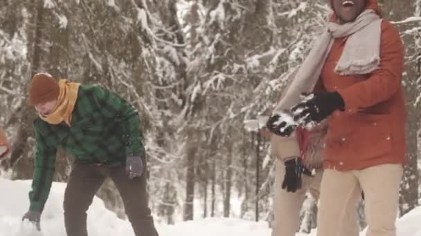 Fiatal Vidám Változatos Barátok Szórakozás Játszik Hógolyókat Gyönyörű Téli Erdőben — Stock videók