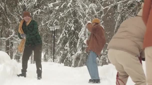 冬の森でスノーボールをする4人の若いケアフリーのマルチエスニックの友人の会社は一緒に楽しんでいます — ストック動画
