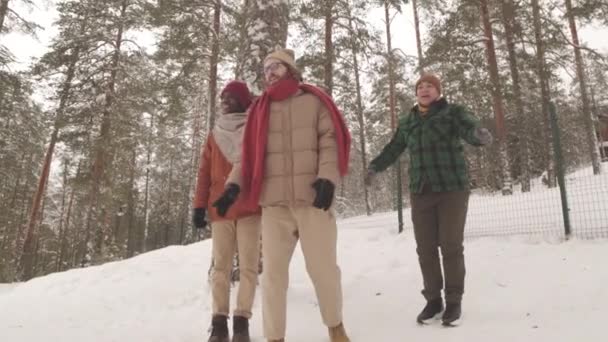 Glada Kaukasiska Flicka Svänger Vacker Snöig Tallskog Samtidigt Tillbringa Tid — Stockvideo