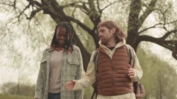 Joven Pareja Interracial Caminando Parque Primavera Teniendo Conversación — Vídeo de stock