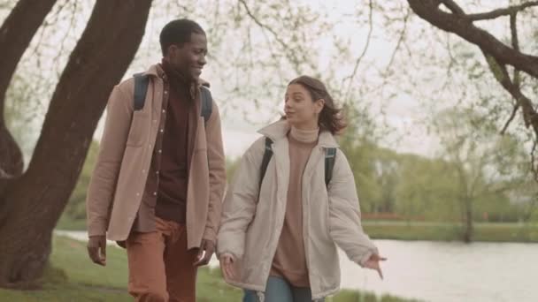 Zwei Interrassische Paare Unterhalten Sich Während Sie Frühling Park Ein — Stockvideo