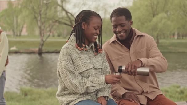 Genç Afrikalı Amerikalı Kafkasyalı Romantik Çift Parkta Çifte Randevuda Iyi — Stok video