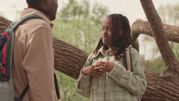Młoda Afroamerykanska Para Rozmawia Stojąc Przy Drzewie Parku Dzień — Wideo stockowe