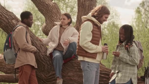 在春天的时候 多民族的朋友们在公园里站在树旁喝茶取暖聊天 — 图库视频影像