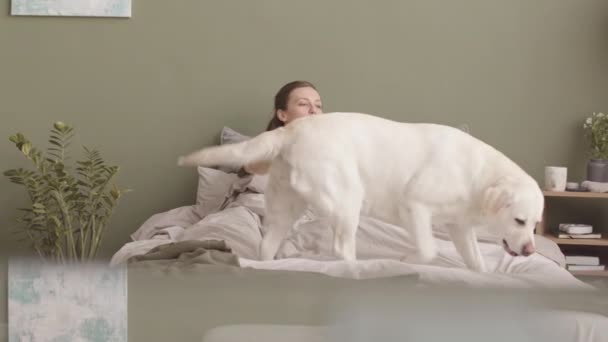 Νεαρή Λευκή Γυναίκα Παίζει Σκύλο Της Στο Κρεβάτι Πρωί — Αρχείο Βίντεο