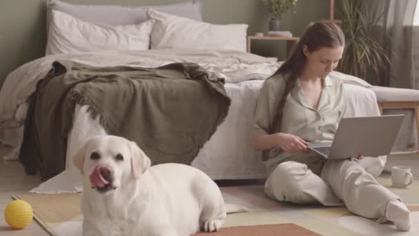 穿着舒适的家居服的年轻女人坐在卧室的地板上 她的狗在笔记本电脑上工作 — 图库视频影像