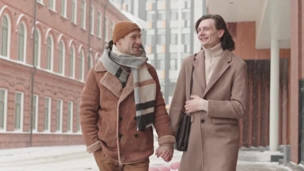 在雪天里 一对浪漫的白人同性恋夫妇手牵着手在街上走着 聊着天 — 图库视频影像