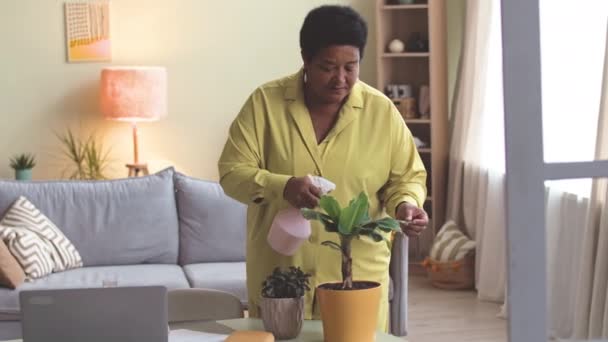 Mittlere Aufnahme Einer Erwachsenen Afroamerikanerin Die Zimmerpflanzen Wohnzimmer Versprüht — Stockvideo