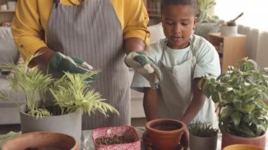 İki torunu olan, önlük takan Afro-Amerikan büyükanne evde birlikte saksı dikiyorlar.