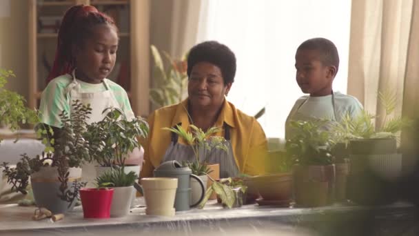 Afroamerykanka Babcia Jej Dwoje Nastolatków Opiekujących Się Roślinami Domowymi Doniczkach — Wideo stockowe
