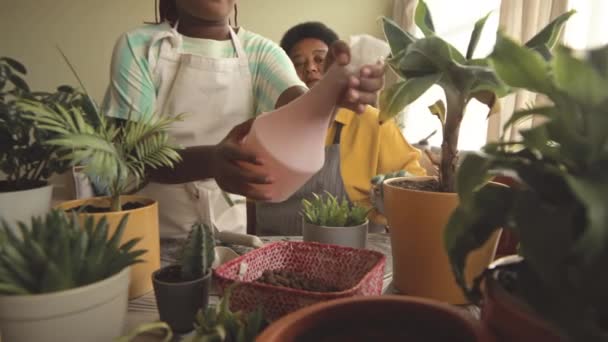 Αφρο Αμερικανός Μεταξύ Κορίτσι Ψεκασμού Φυτά Σπίτι Ενώ Βοηθά Την — Αρχείο Βίντεο