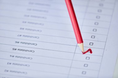 Aday seçenekleriyle birlikte oy pusulasında kırmızı kalem işaretleme kutusunu kapat, boşluğu kopyala