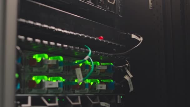 Hay Personas Primer Plano Del Panel Red Mainframe Con Cables — Vídeos de Stock