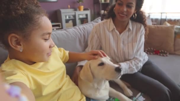 Кишеньковий Pov Знімок Досить Маленької Бірао Дівчинки Погладжуючи Білого Лабрадора — стокове відео