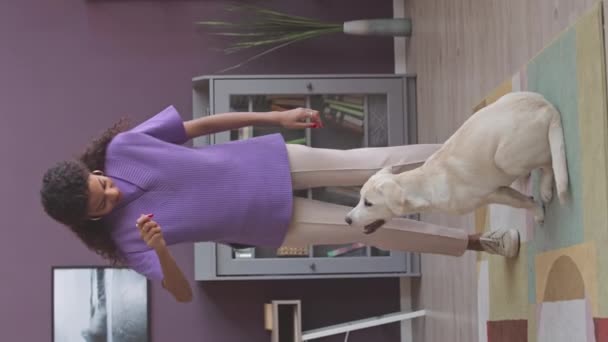 Вертикальний Знімок Молодої Біраої Жінки Грає Собакою Сучасній Вітальні Вдома — стокове відео