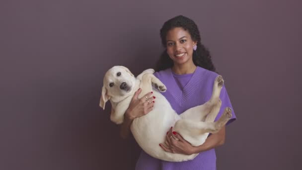 Retrato Mediano Una Joven Hermosa Biracial Sosteniendo Labrador Blanco Brazos — Vídeos de Stock