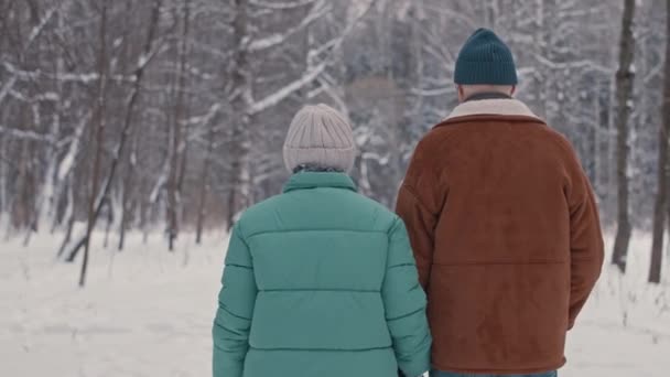 Vue Arrière Couple Mature Avec Chien Marchant Dans Belle Forêt — Video