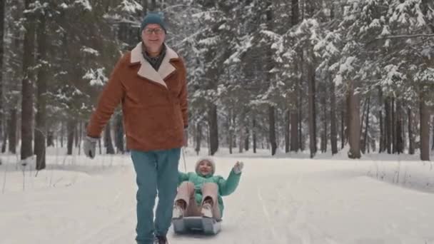 美しい冬の森の雪のトレイルに沿って雪だるまに彼の陽気な妻を引っ張った白人高齢者の全長ショット — ストック動画