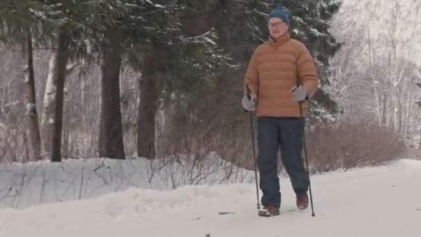 Повнометражний Знімок Активного Старшого Чоловіка Полюсами Скандинавський Пішохідний Прохід Відкритому — стокове відео