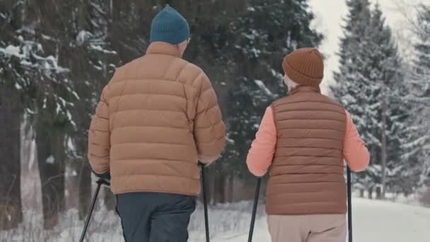 Vue Dos Moyenne Couple Personnes Âgées Actives Avec Des Bâtons — Video
