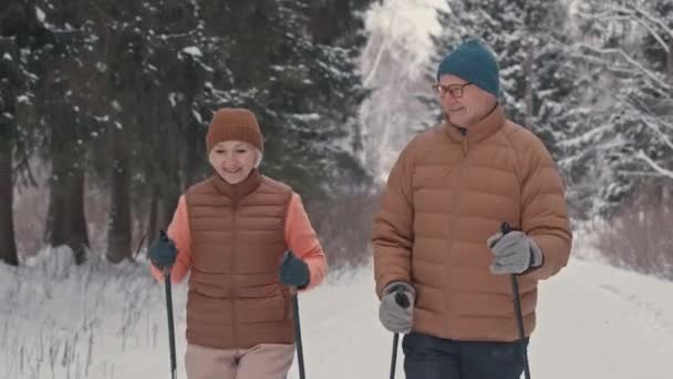 Couple Âgé Actif Marche Nordique Par Temps Froid Forêt Hivernale — Video