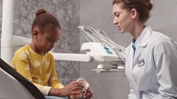 非洲裔美国小女孩在现代诊所接受检查时 一边拿着牙模一边听女牙医的中景照片 — 图库视频影像