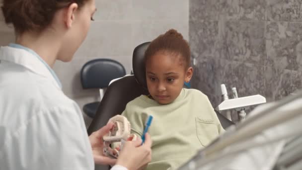 Dentystka Trzymająca Szczoteczkę Zębów Model Szczęki Uczy Małego Pacjenta Jak — Wideo stockowe