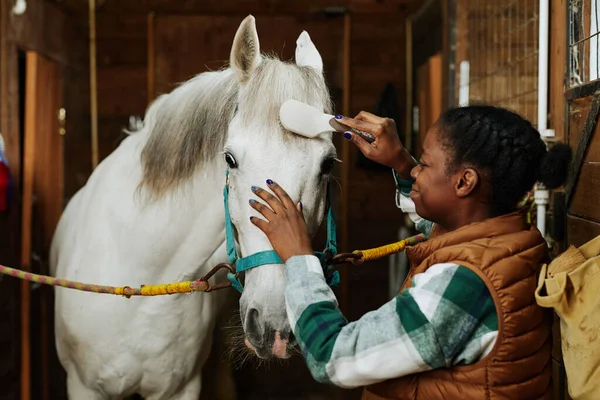Portrét Usměvavé Afroamerické Dívky Pečující Bílého Koně Stájích Kartáčování Jeho — Stock fotografie