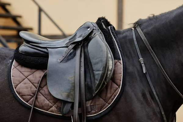 スタジアムの黒馬の背面に着用したレザーサドルのサイドビュークローズアップ コピースペース — ストック写真