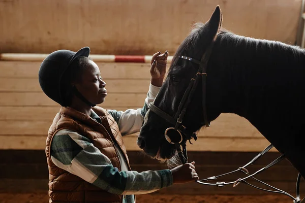 Podsvícený Boční Pohled Portrét Usmívající Mladé Ženy Hladí Černého Koně — Stock fotografie