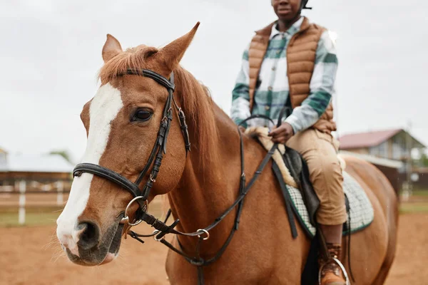 Portrét Krásného Hnědého Koně Jezdkyní Koňském Ranči Venku Kopírovací Prostor — Stock fotografie